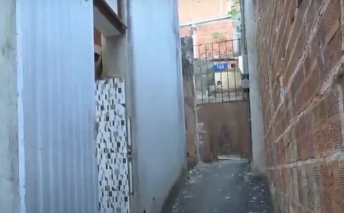 
          Imagem ilustrativa da imagem Pitbulls invadem churrasco e matam cachorro de família em Vitória
          