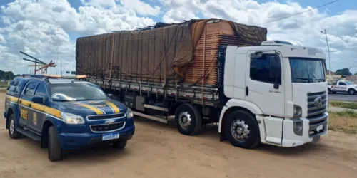 
          Imagem ilustrativa da imagem Em cinco dias, seis caminhões carregados de madeira ilegal foram apreendidos em PE
          