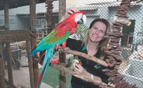 
          Imagem ilustrativa da imagem Emoção no resgate de animais silvestres feridos
          