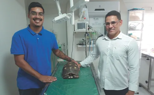 
          Imagem ilustrativa da imagem Emoção no resgate de animais silvestres feridos
          