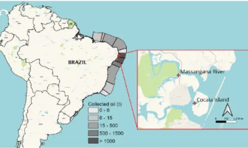
          Imagem ilustrativa da imagem Filhotes deformados: o legado invisível do pior desastre ambiental do Nordeste
          