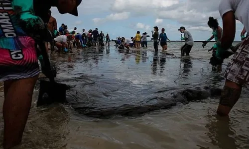 
          Imagem ilustrativa da imagem Filhotes deformados: o legado invisível do pior desastre ambiental do Nordeste
          
