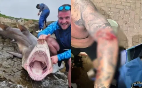 
          Imagem ilustrativa da imagem Galês sobrevive após ataque de tubarão de 136kg na África do Sul
          