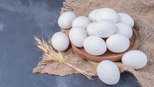 
          Imagem ilustrativa da imagem Granja no Espírito Santo produz 6 milhões de ovos por mês
          