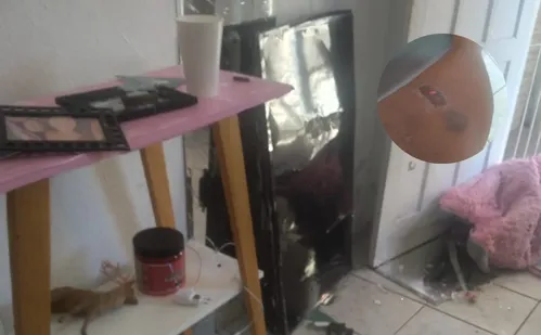 
          Imagem ilustrativa da imagem Grávida é agredida e tem casa destruída por ex-companheiro em Vitória
          