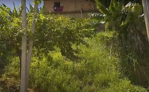 
          Imagem ilustrativa da imagem Homem agride e joga esposa do alto de barranco em Viana
          