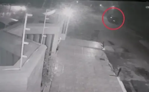 
          Imagem ilustrativa da imagem Homem que atropelou capivaras no ES pode pegar até 11 anos de prisão, diz polícia
          