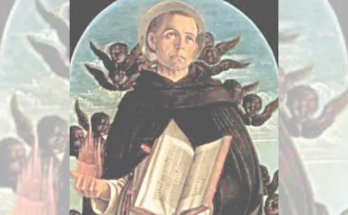 
          Imagem ilustrativa da imagem Imagens iluminadas de Nossa Senhora a partir de domingo
          