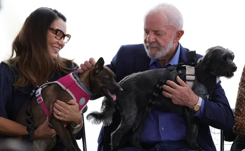 
          Imagem ilustrativa da imagem Lula lança programa de identificação e proteção de cães e gatos
          
