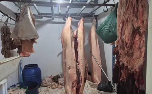 
          Imagem ilustrativa da imagem Matadouro irregular é interditado e quase 4 toneladas de carne são apreendidas
          