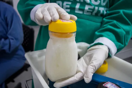 
          Imagem ilustrativa da imagem Maternidade do hospital Agamenon Magalhães precisa de doação de leite materno
          