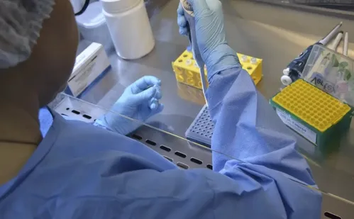 
          Imagem ilustrativa da imagem Médicos do ES analisam a primeira vacina contra Chikungunya aprovada pela Anvisa
          