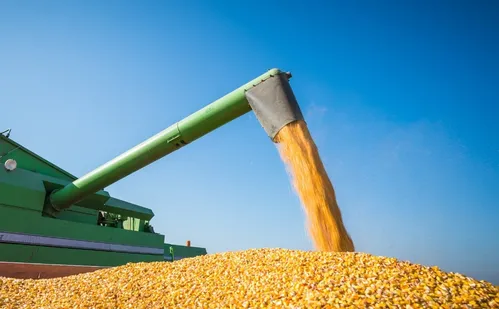 
          Imagem ilustrativa da imagem Milho brasileiro será exportado à China pelo Porto de Tubarão
          