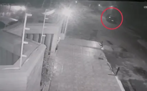 
          Imagem ilustrativa da imagem Motorista é flagrado atropelando e matando capivaras em bairro de Vila Velha
          