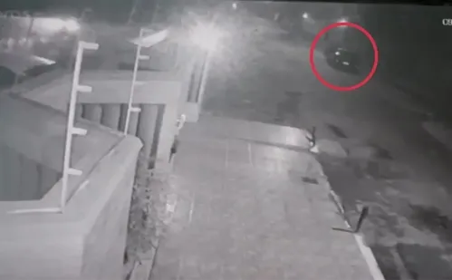 
          Imagem ilustrativa da imagem Motorista que atropelou e matou capivaras em Vila Velha é autuado por maus-tratos
          