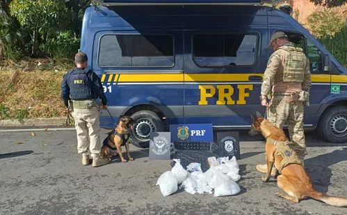
          Imagem ilustrativa da imagem Mulher é presa em ônibus de viagem no ES com drogas na bagagem
          
