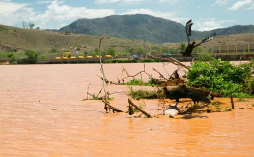 
          Imagem ilustrativa da imagem Municípios seguem com ação na justiça inglesa pelo desastre de Mariana
          