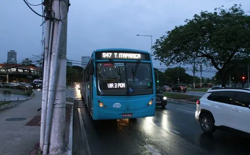 
          Imagem ilustrativa da imagem Nova linha de ônibus do Transcol começa a operar neste domingo
          