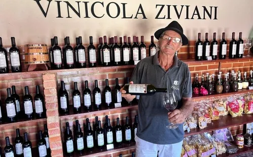 
          Imagem ilustrativa da imagem Pedacinho da Itália na Cidade dos Colibris: conheça Santa Teresa, no ES
          