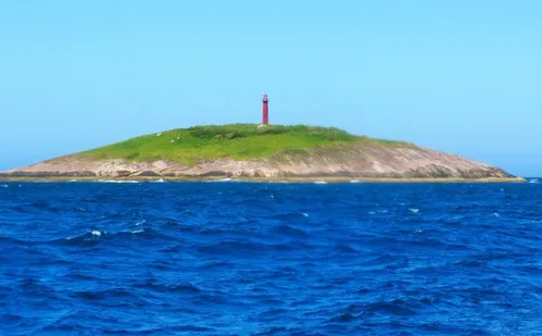 
          Imagem ilustrativa da imagem Pesca ilegal e falta de fiscalização ameaçam “tesouros” no mar
          