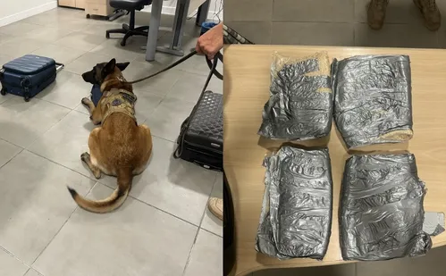 
          Imagem ilustrativa da imagem Polícia Federal prende homem com 5kg de cocaína no Aeroporto de Vitória
          