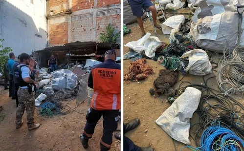 
          Imagem ilustrativa da imagem Polícia apreende cabos de cobre e material de telefonia furtados em Vitória
          