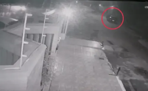 
          Imagem ilustrativa da imagem Polícia identifica motorista que atropelou e matou capivaras em Vila Velha
          