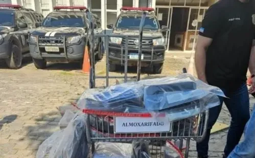 
          Imagem ilustrativa da imagem Polícia investiga lojas no ES que vendem até fuzis para criminosos
          