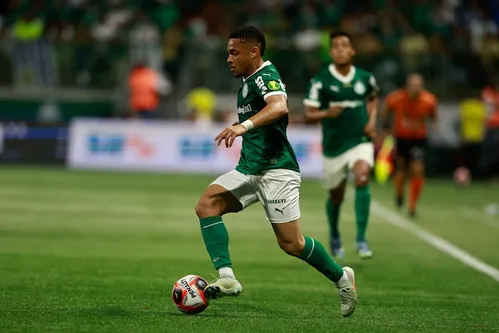 
          Imagem ilustrativa da imagem Presidente da FPF comenta polêmico para o Palmeiras: ‘Se o Rafael chuta, não acontece nada’
          