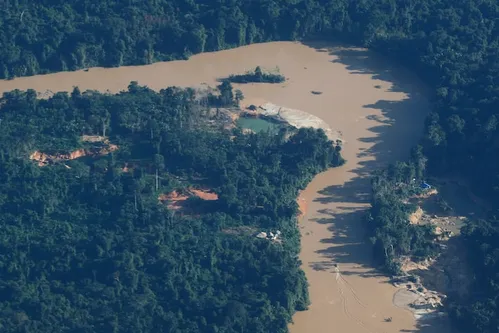 
          Imagem ilustrativa da imagem Quem é o piloto que sobreviveu 5 dias na mata após queda de avião na Terra Yanomami
          