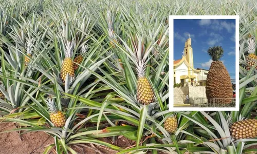 
          Imagem ilustrativa da imagem Riquezas de Pernambuco podem ganhar selo de reconhecimento nacional: veja quais são
          