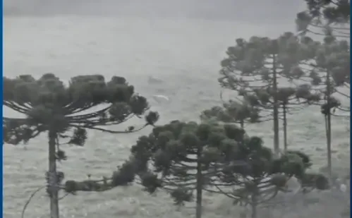 
          Imagem ilustrativa da imagem São Joaquim, em Santa Catarina, registra geada no último dia do verão
          