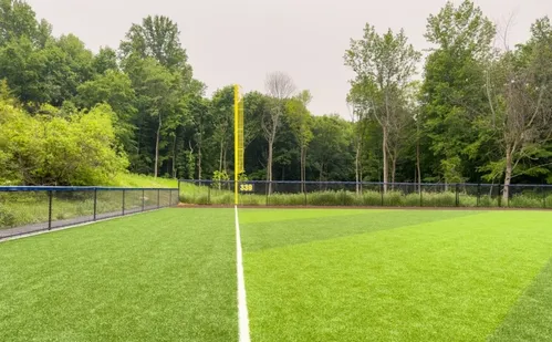 
          Imagem ilustrativa da imagem ‘Se grama sintética fosse boa, a vaca comia’: a frase de Dunga sobre a polêmica
          