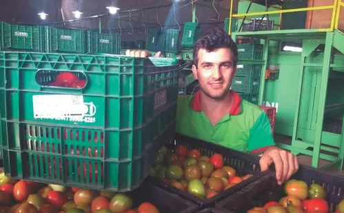 
          Imagem ilustrativa da imagem Tecnologia ajuda produtores a oferecer "vegetais premium"
          