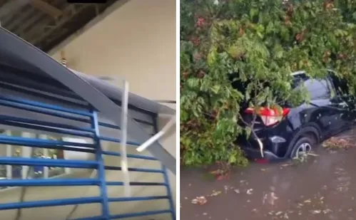 
          Imagem ilustrativa da imagem Temporal destelha escola, abre cratera em rua e gera estragos na Grande Vitória
          