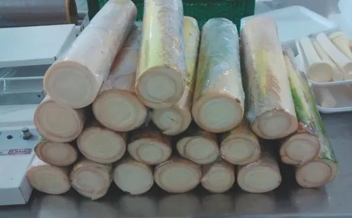 
          Imagem ilustrativa da imagem Veja onde comprar palmito na Grande Vitória para fazer sua torta capixaba
          