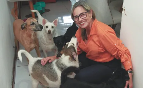 
          Imagem ilustrativa da imagem Você está pronto para adotar um pet? Faça o teste
          