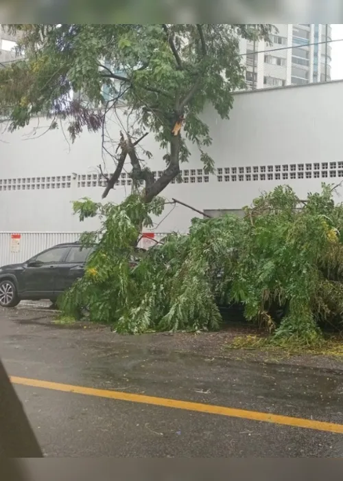 Imagem ilustrativa da imagem VÍDEOS: Vila Velha registra pontos de alagamentos. Previsão é de mais chuva