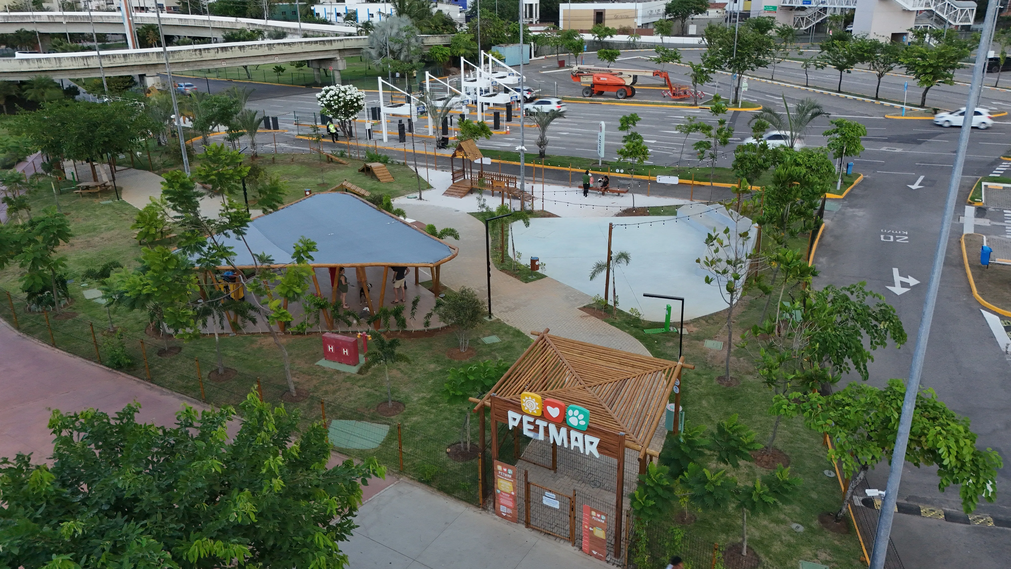 Imagem ilustrativa da imagem Até os pets terão uma festa junina. Será neste sábado (14) na Zona Sul do Recife