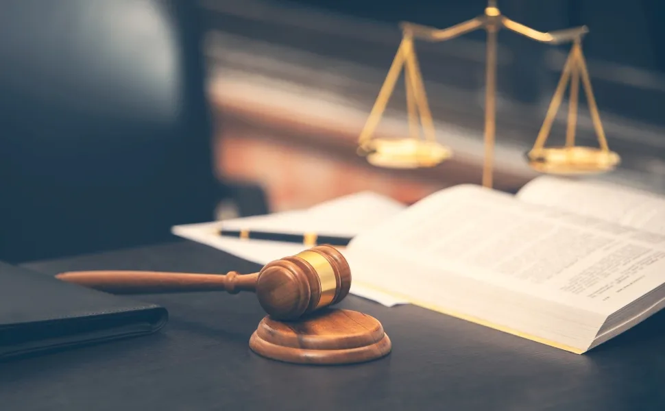 Imagem ilustrativa da imagem Avós vão à Justiça para conseguir a guarda de netos