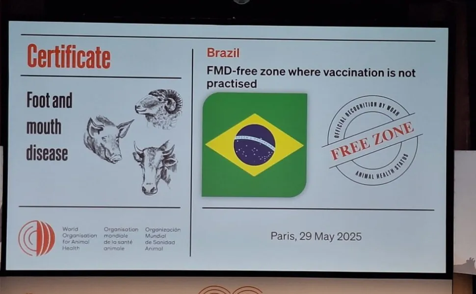 Imagem ilustrativa da imagem Brasil é declarado livre de febre aftosa sem vacinação, com protagonismo capixaba