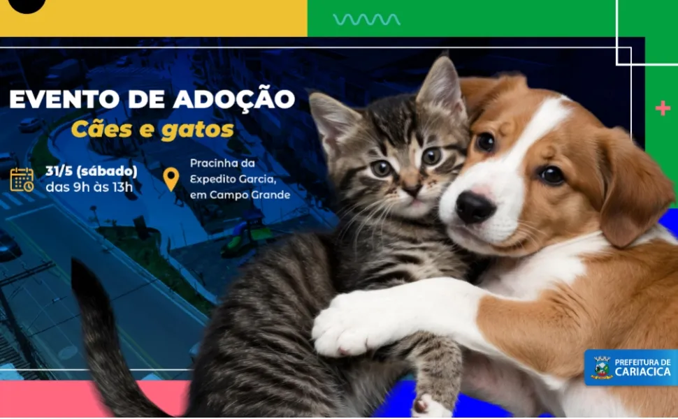 Imagem ilustrativa da imagem Evento neste sábado para adoção de cães e gatos em Cariacica