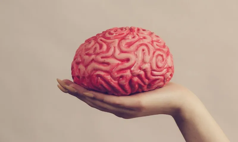 Imagem ilustrativa da imagem Exame de sangue pode identificar sinais precoces do Alzheimer