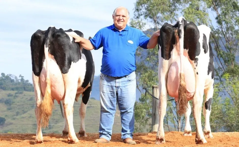 Imagem ilustrativa da imagem Fazenda do ES conquista prêmio de melhor criador de gado em feira internacional