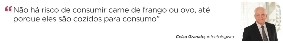 Imagem ilustrativa da imagem Há risco de consumir carne de frango em meio aos casos de gripe aviária?