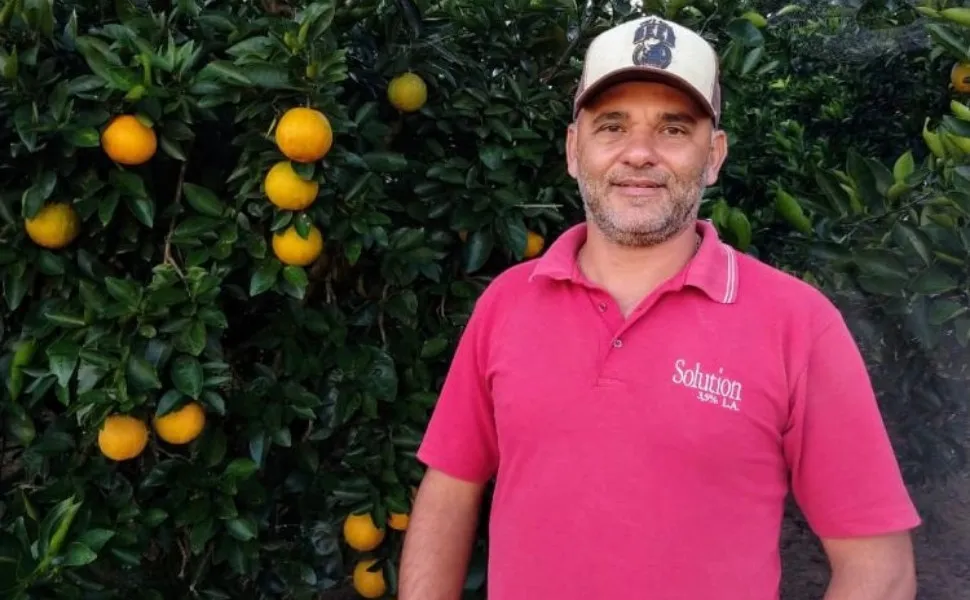 Imagem ilustrativa da imagem O que um produtor do ES fez para dobrar a produção de laranjas
