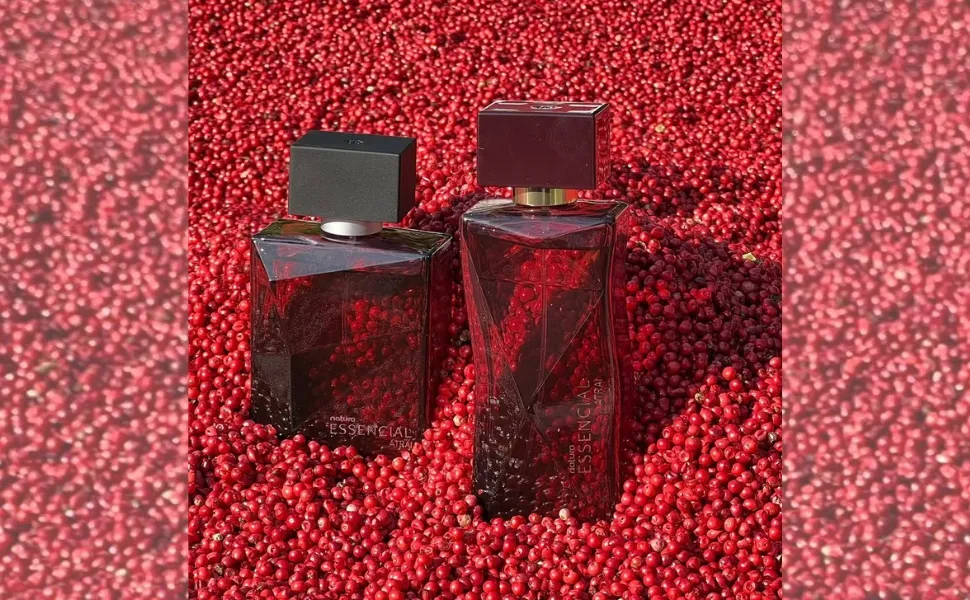 Imagem ilustrativa da imagem Pimenta-rosa do Espírito Santo é usada na fabricação de perfumes famosos