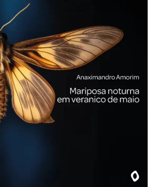 Imagem ilustrativa da imagem Sorteio do novo livro de capixaba para assinantes