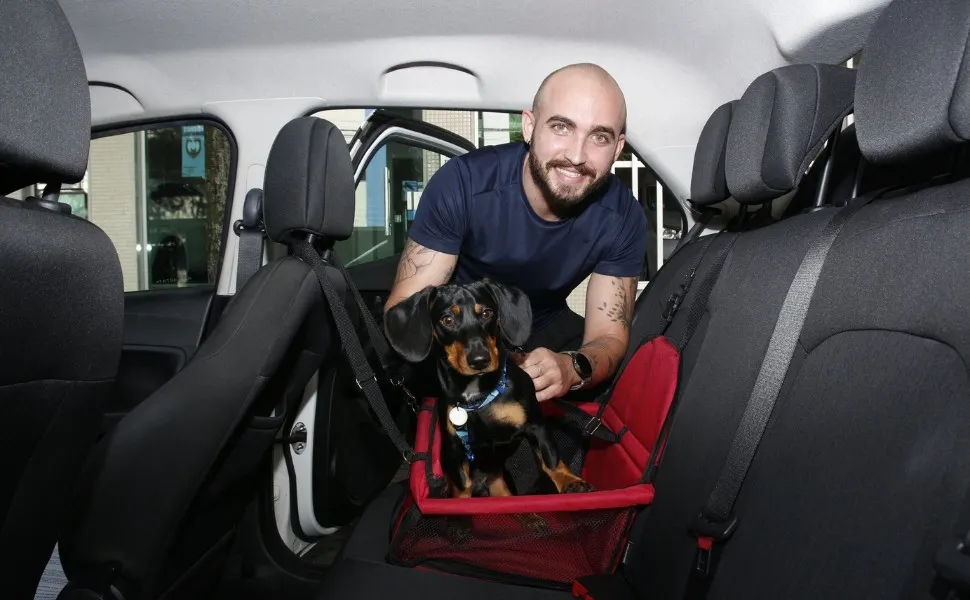 Imagem ilustrativa da imagem Transportar pet no carro pode render multa ao motorista; saiba quanto