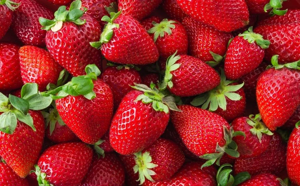 Imagem ilustrativa da imagem Morango do amor: saiba quanto a fruta rendeu para o ES no segmento rural em 2024